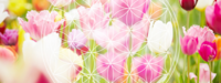 ガイド（守護霊）とは何か？